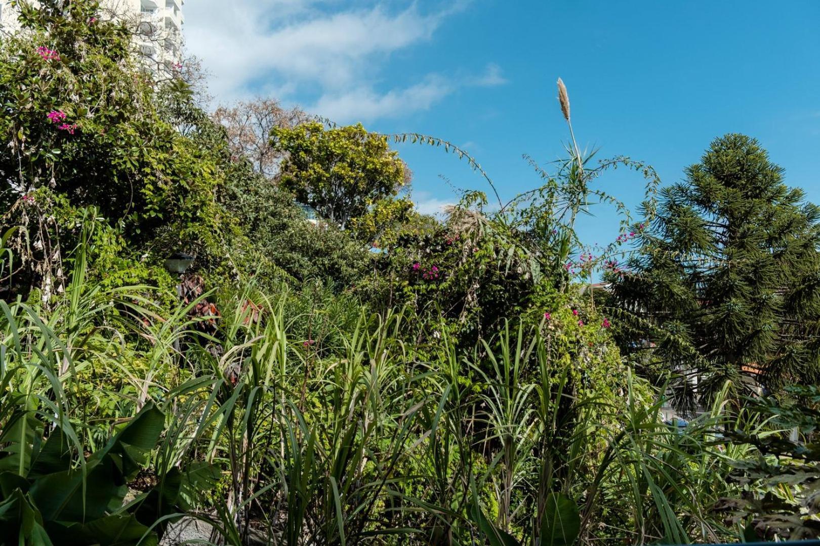Guestready - Lido View Near The Beach Apartamento Funchal  Exterior foto
